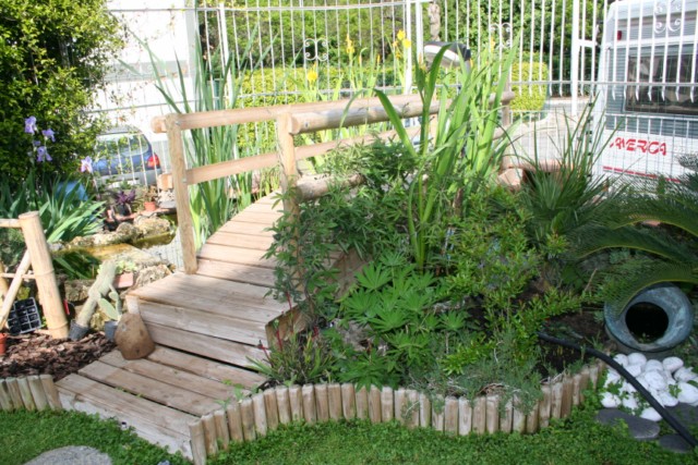 Immagine 004 [640x480].jpg