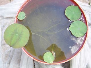 PIC_0038.JPG