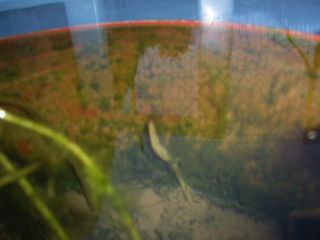 PIC_0058.JPG