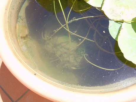 PIC_0105.jpg