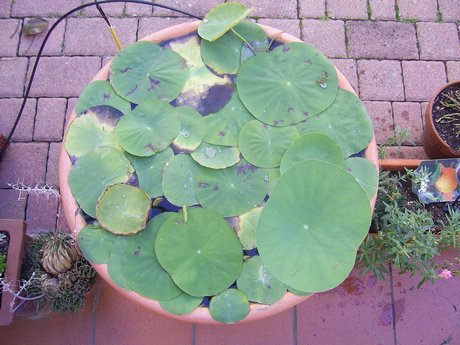 PIC_0125.jpg