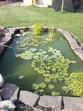 lago1.jpg