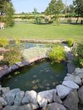 lago 2.jpg