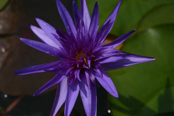 midnight070830-03.jpg